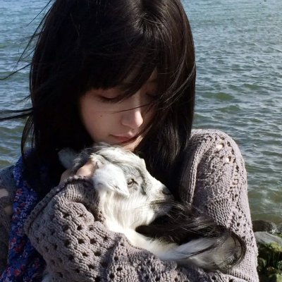 人海浪蝶